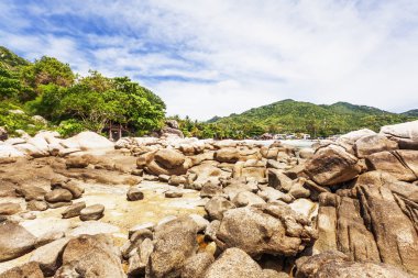 Egzotik tropikal plaj.