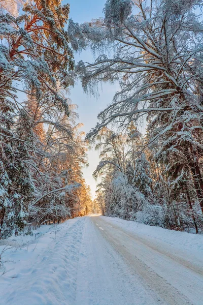 Schöner Wintersonnenuntergang — Stockfoto