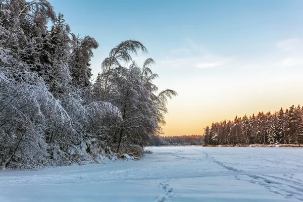 Krásné zimní slunce — Stock fotografie