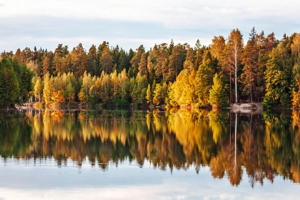 Lago otoñal cerca del bosque — Foto de Stock