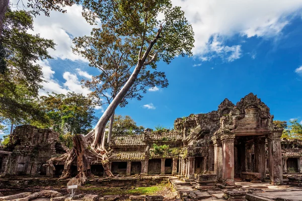 Starożytnych Khmerów świątyni buddyjskiej w angkor wat złożonych — Zdjęcie stockowe