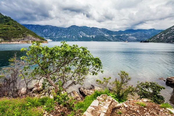 Sea and mountains in bad rainy weather — Stock Photo, Image