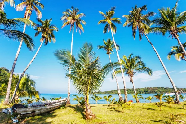 Exotisk tropisk strand. — Stockfoto