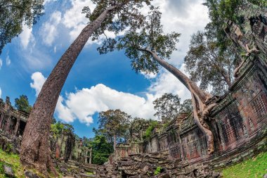 Antik khmer Budist tapınağı angkor wat kompleksi içinde