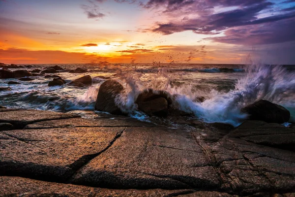 Tropisk strand vid solnedgången. — Stockfoto