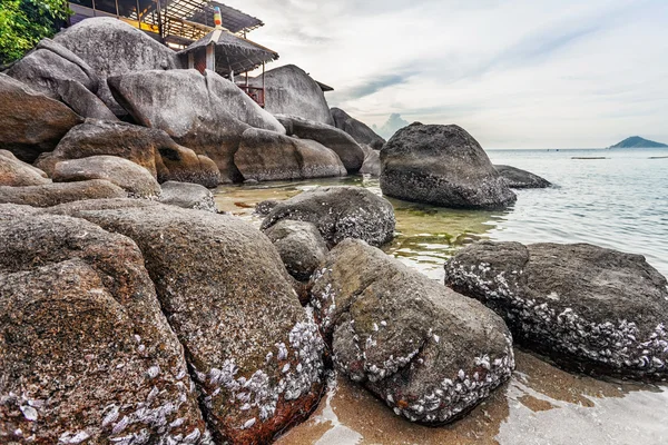 karanlık gökyüzü altında tropik sahil