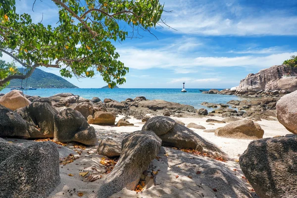 Playa tropical exótica. — Foto de Stock