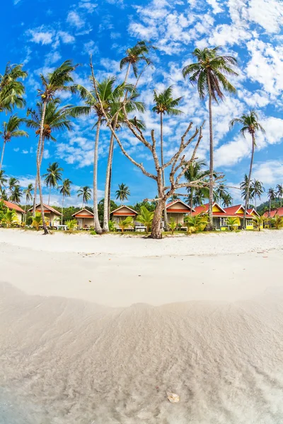 Spiaggia tropicale esotica. — Foto Stock