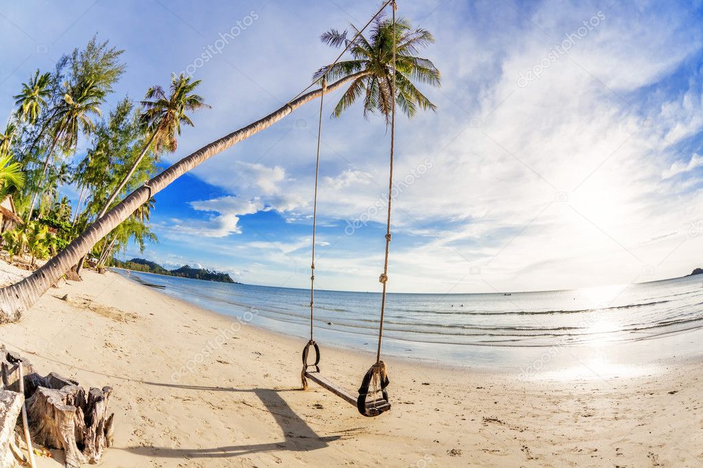 Swings and palm on the sand tropical beach.