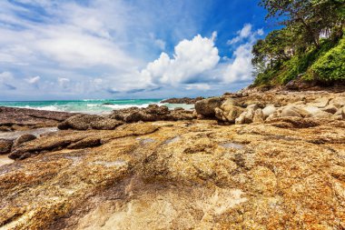 Egzotik tropikal plaj.