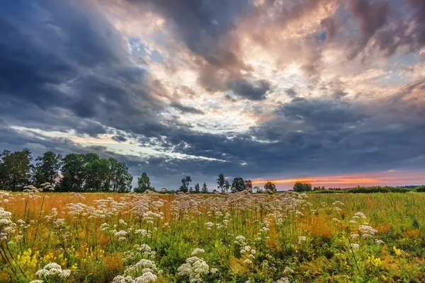 Yaz alanına Sunset — Stok fotoğraf