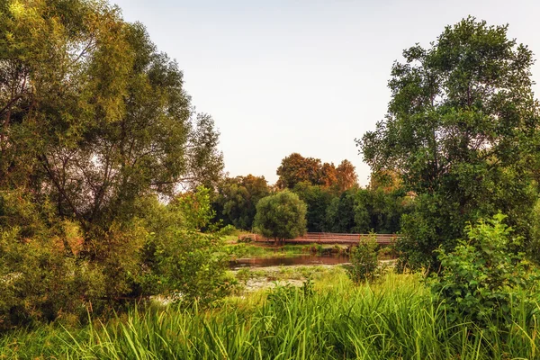 Puesta de sol en el campo de verano —  Fotos de Stock