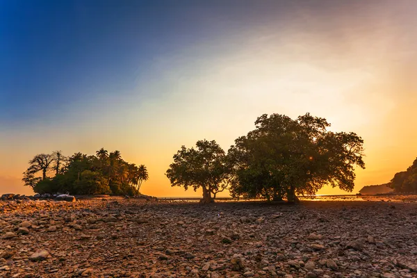 Tropical beach at sunset. — Stock Photo, Image