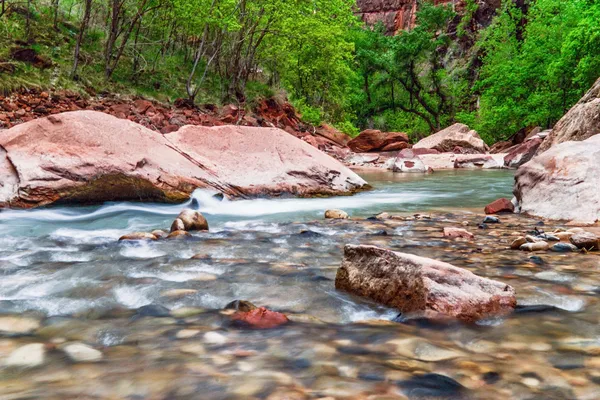 River in Zion Canyon — Stock Photo, Image