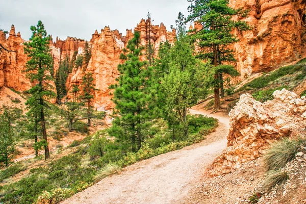 Backarna i bryce canyon — Stockfoto