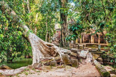 Antik khmer Budist tapınağı angkor wat kompleksi içinde
