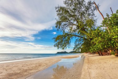 Egzotik tropikal plaj.