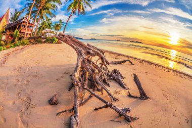 Günbatımında tropik plaj.