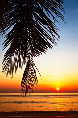 Günbatımında tropik plaj.