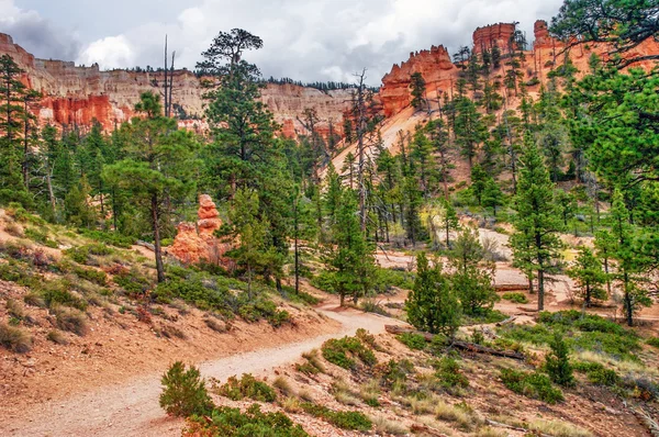 Kilátás a bryce canyon ragaszkodik. — Stock Fotó