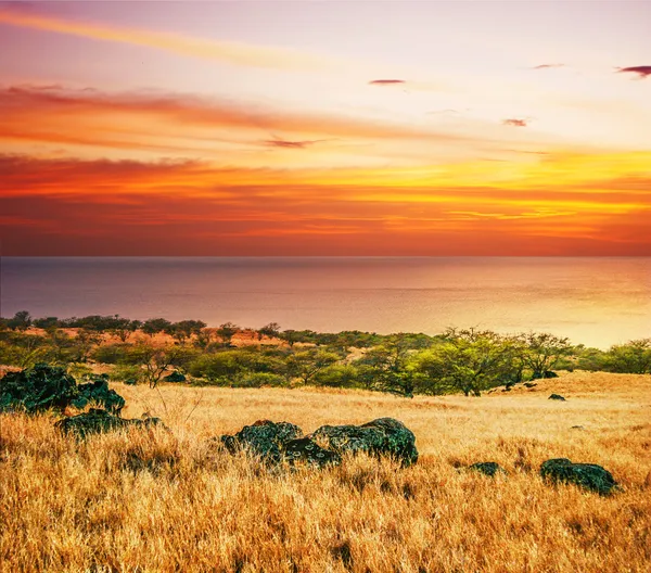 Красочный закат вокруг поля и океана — стоковое фото