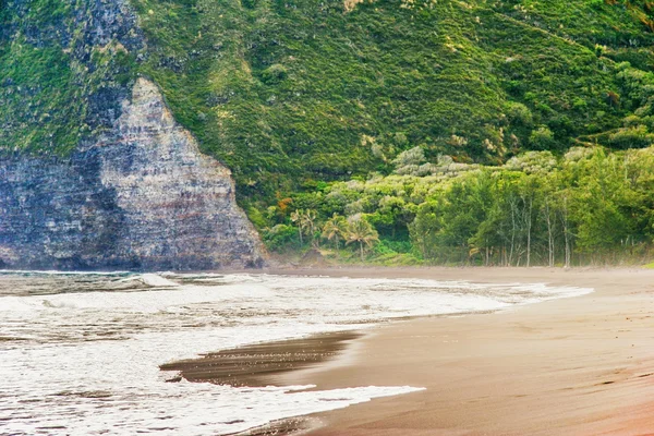 폭풍우 치는 날씨에 빅 아일랜드에 외로운 해변. 하와이 — 스톡 사진