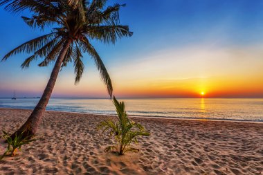 Günbatımında tropik plaj.