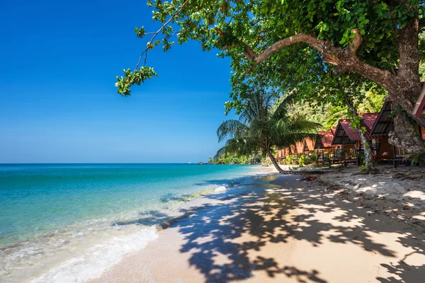 Exotisch tropisch strand. — Stockfoto