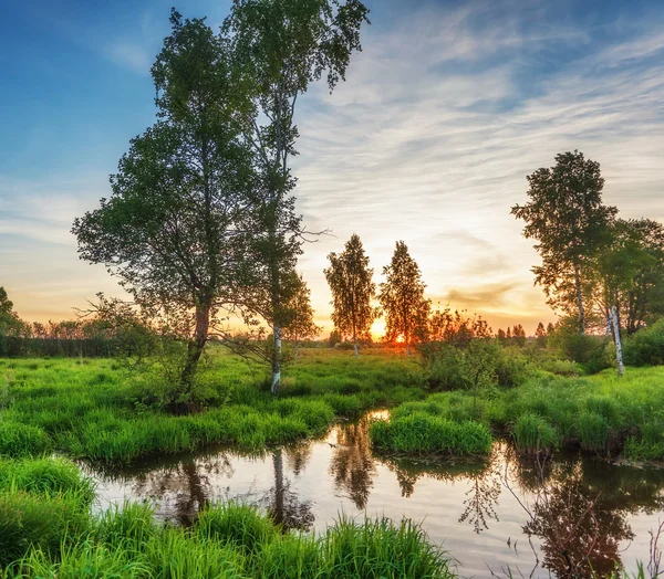 Zomer zonsondergang rond veld en rivier — Stockfoto