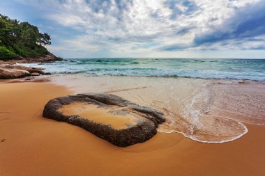 karanlık gökyüzü altında tropik sahil