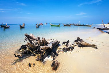 Egzotik tropikal plaj.