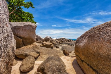 Egzotik tropikal plaj.