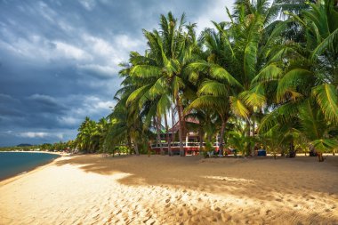 Egzotik tropikal plaj.