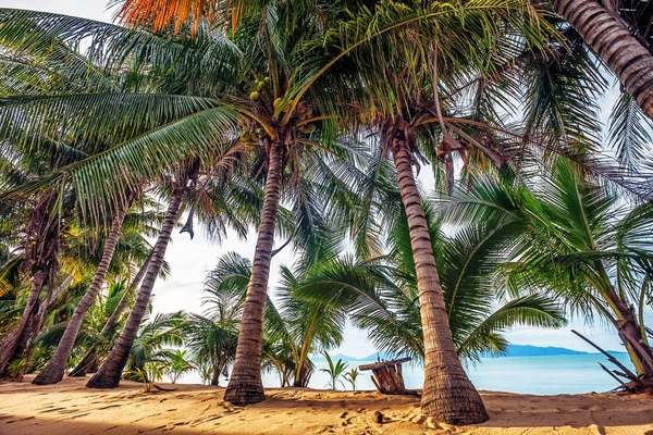 Exotischer tropischer Strand. — Stockfoto