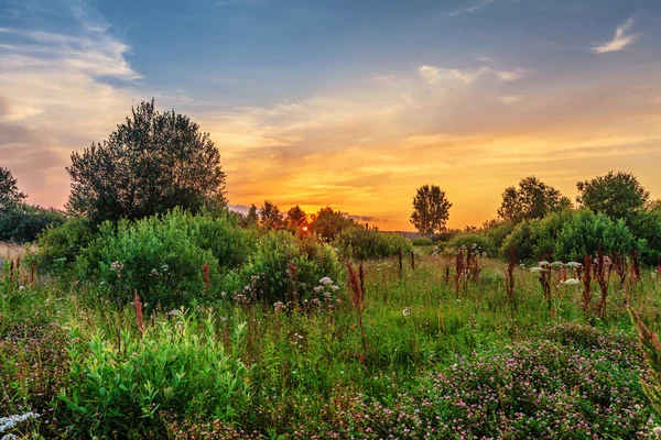 Solnedgång i sommaren sätter — Stockfoto