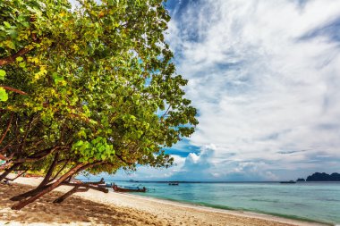 Egzotik tropikal plaj.