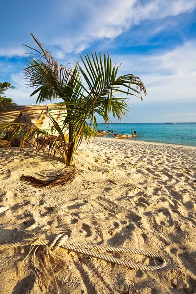 Spiaggia tropicale esotica. — Foto Stock