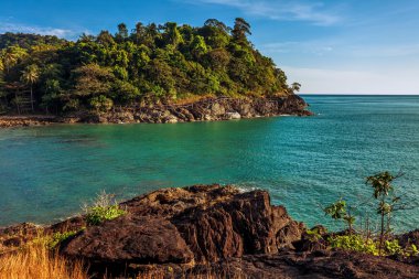 egzotik tropik ada mavi gökyüzü altında.