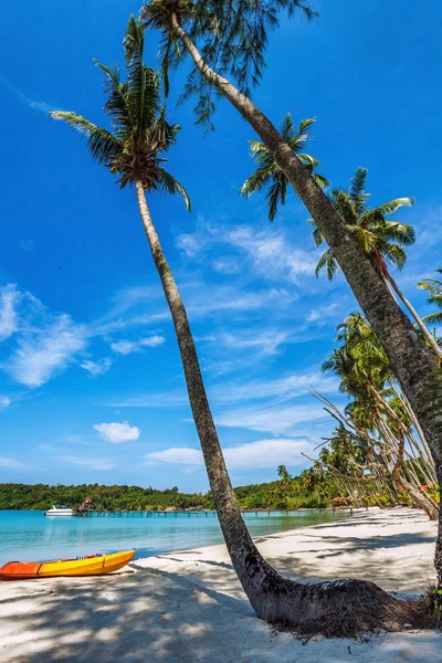 Exotisk tropisk strand. — Stockfoto