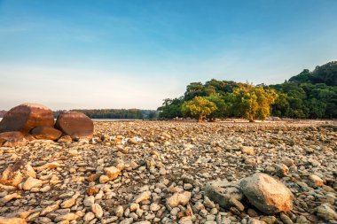 Egzotik tropikal plaj.