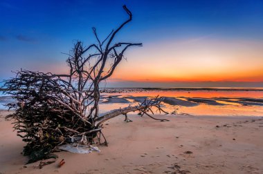 Günbatımında tropik plaj.