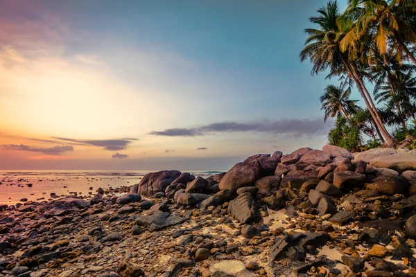 Tropical beach at sunset. — Stock Photo, Image