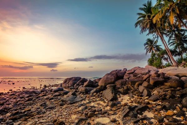 Tropischer Strand bei Sonnenuntergang. — Stockfoto