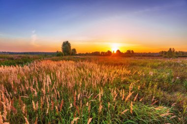 Yaz alanına Sunset