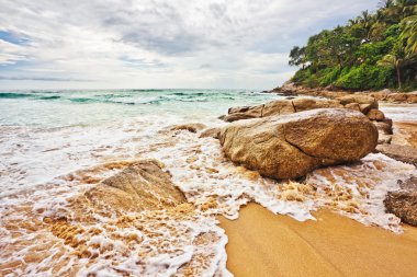 karanlık gökyüzü altında tropik sahil