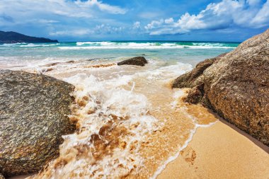 Egzotik tropikal plaj.