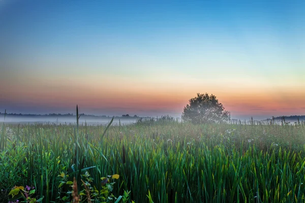 Foggy tramonto nel campo estivo — Foto Stock