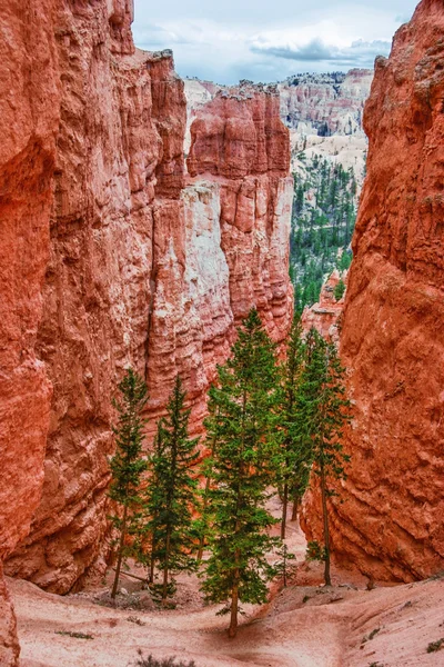 Vista dal punto di vista del Bryce Canyon. Utah. Stati Uniti — Foto Stock