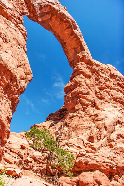 Solig dag i valv canyon — Stockfoto