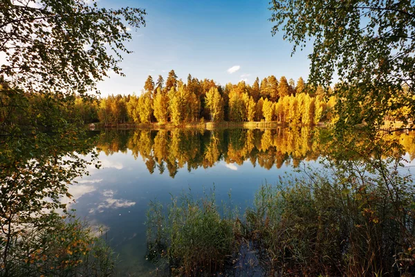 Höstlig sjö nära skogen — Stockfoto